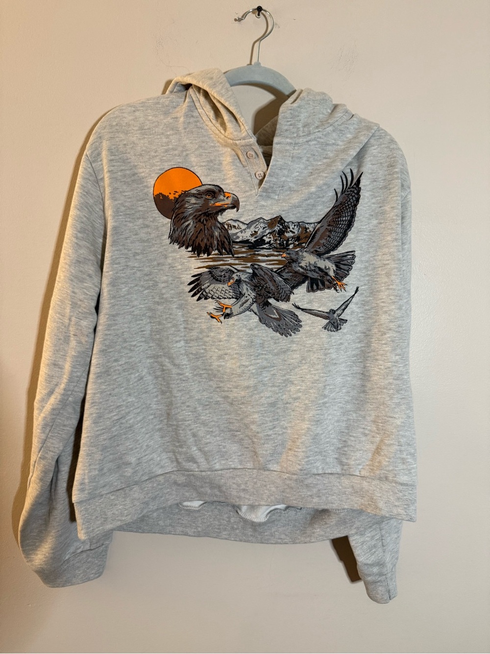 BDG Heather Gray Eagle Graphic Hoodie with Orange Sun